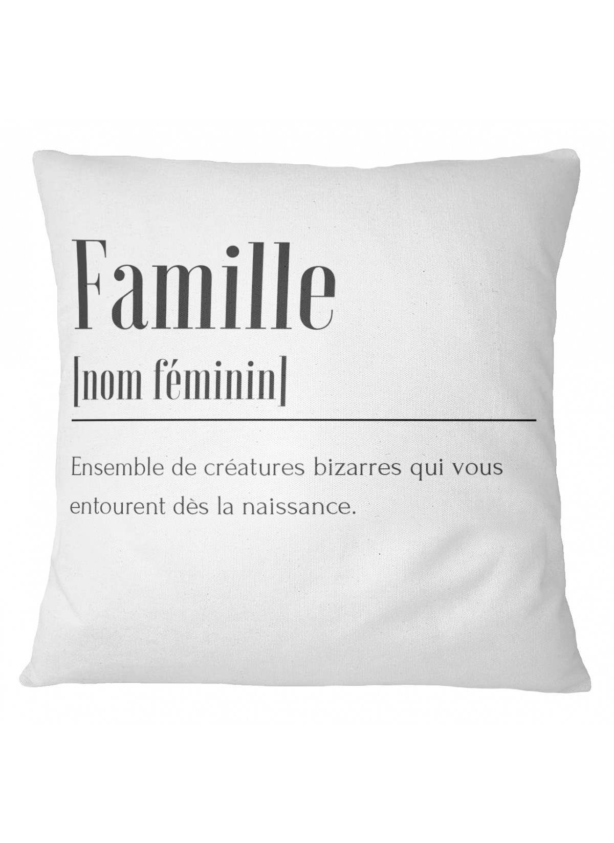 Coussin Définition Famille