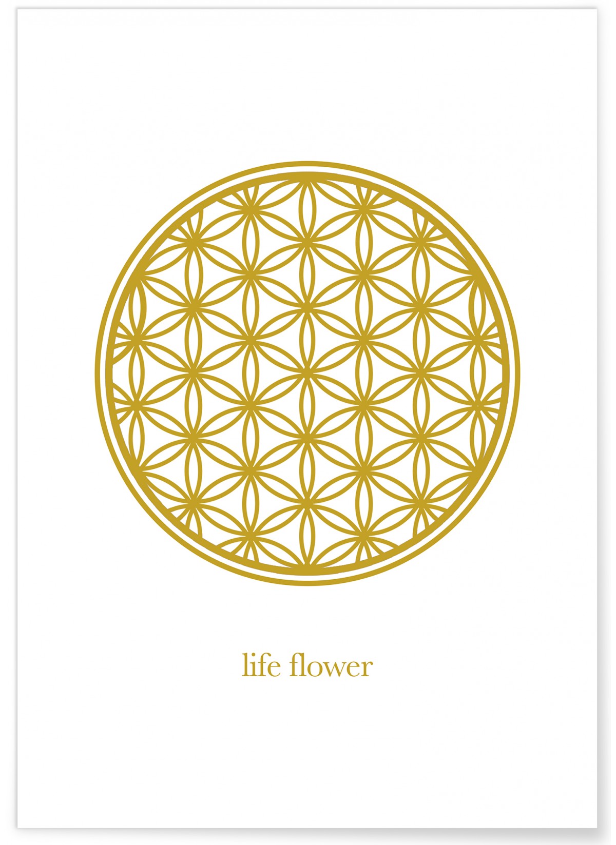 Affiche Fleur de vie