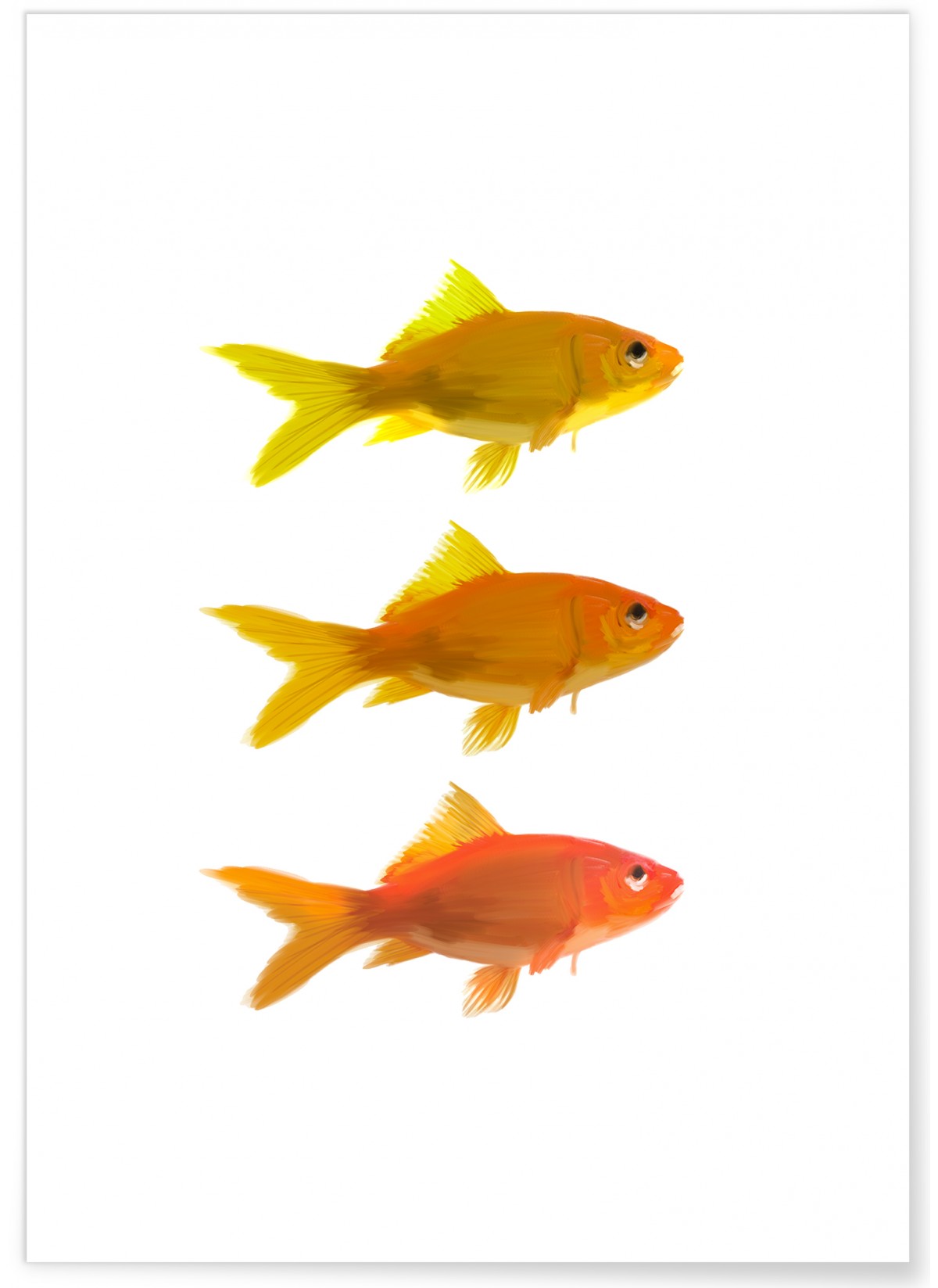 Affiche Fish
