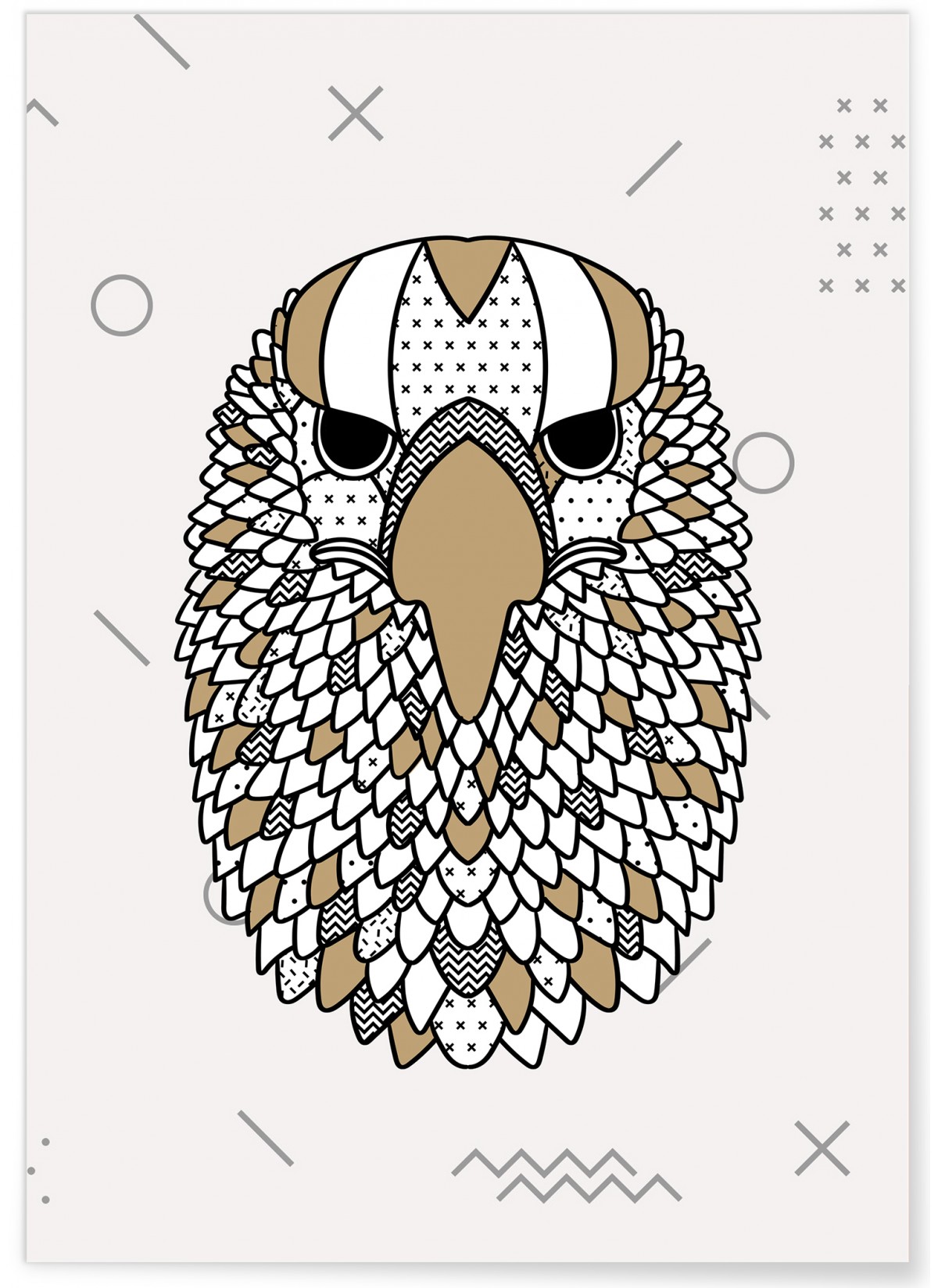 Affiche Aigle scandinave