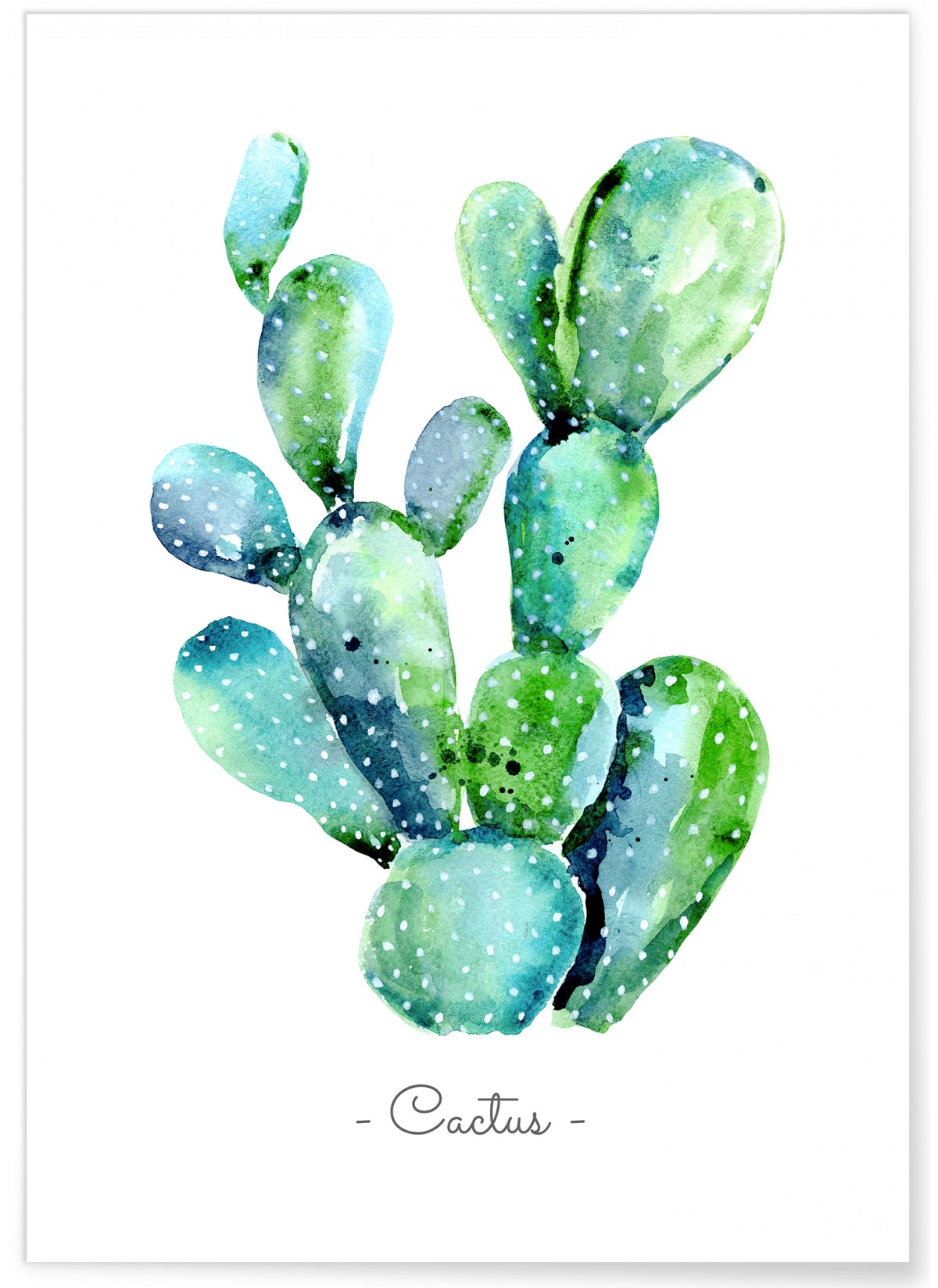Poster Cactus aquarelle