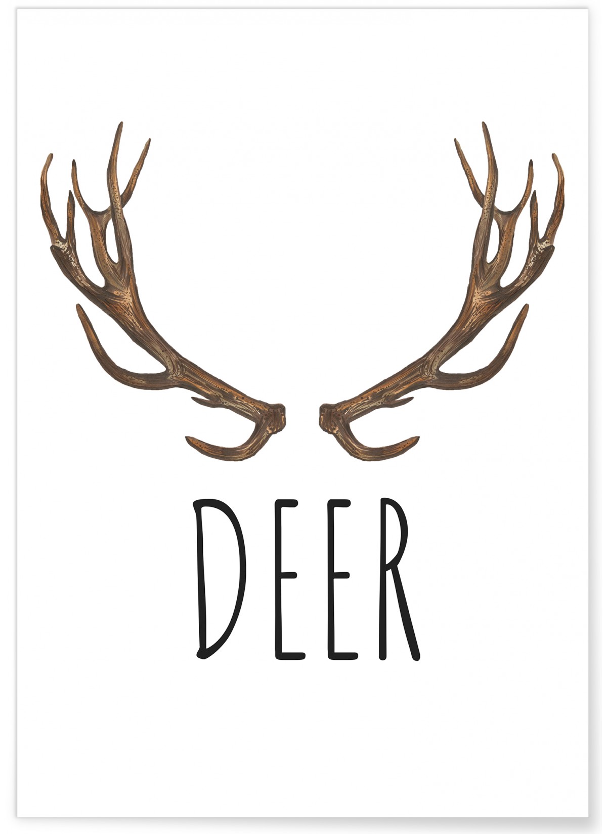 Affiche DEER