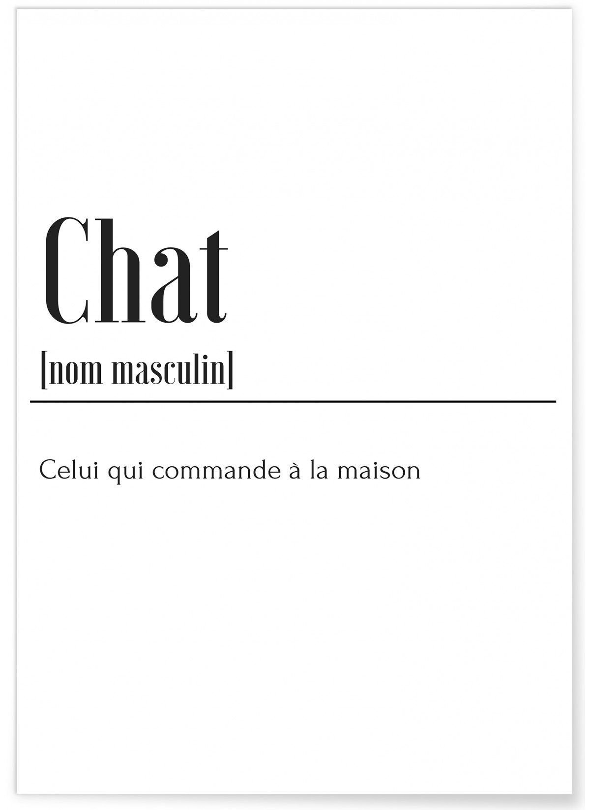 Poster Définition Chat