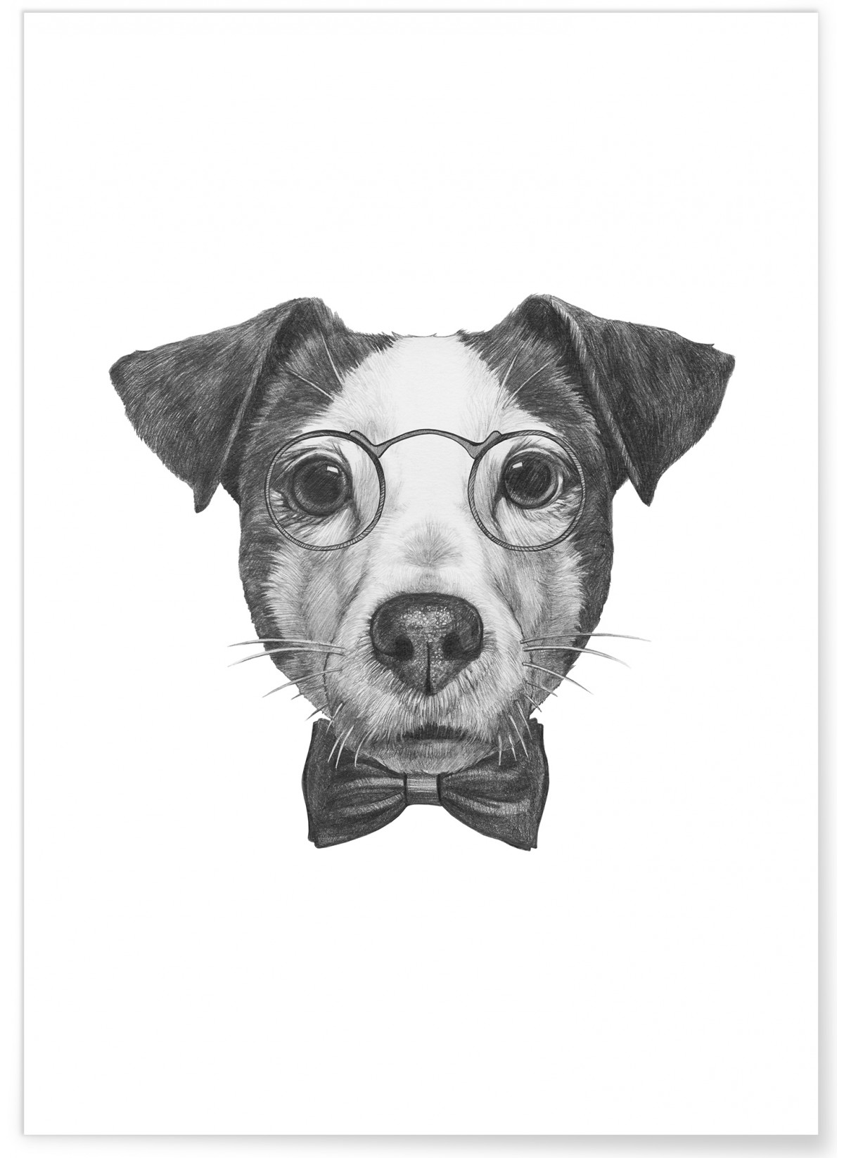 Poster Jack Russell