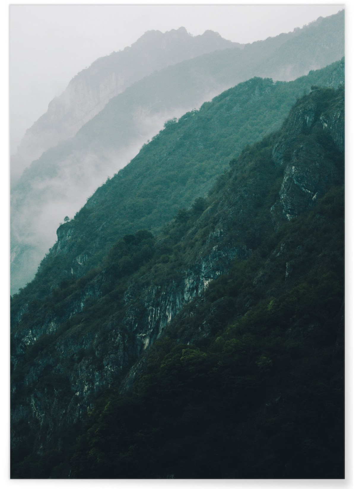 Poster Nature Brume