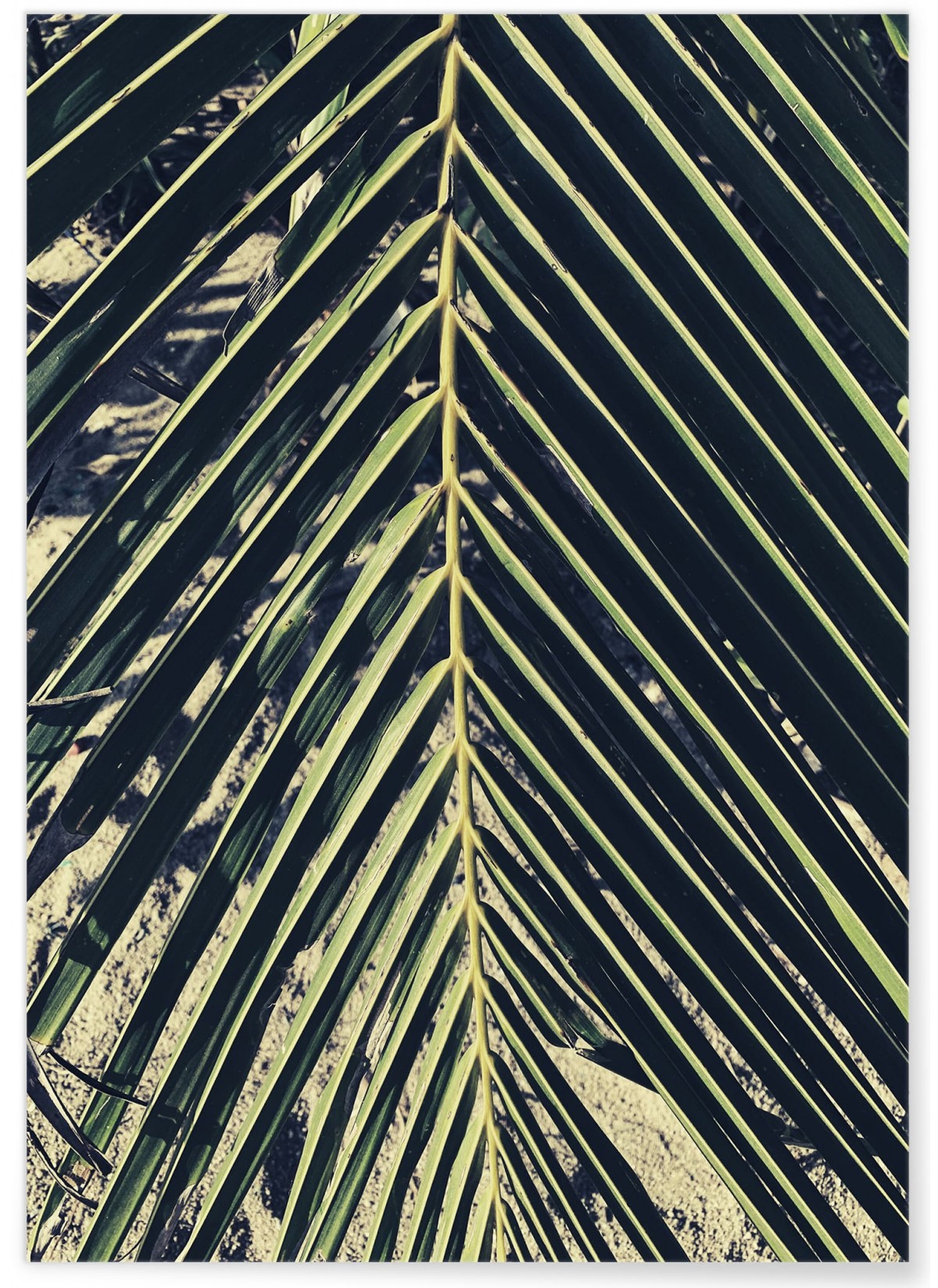 Affiche nature Verte n°2