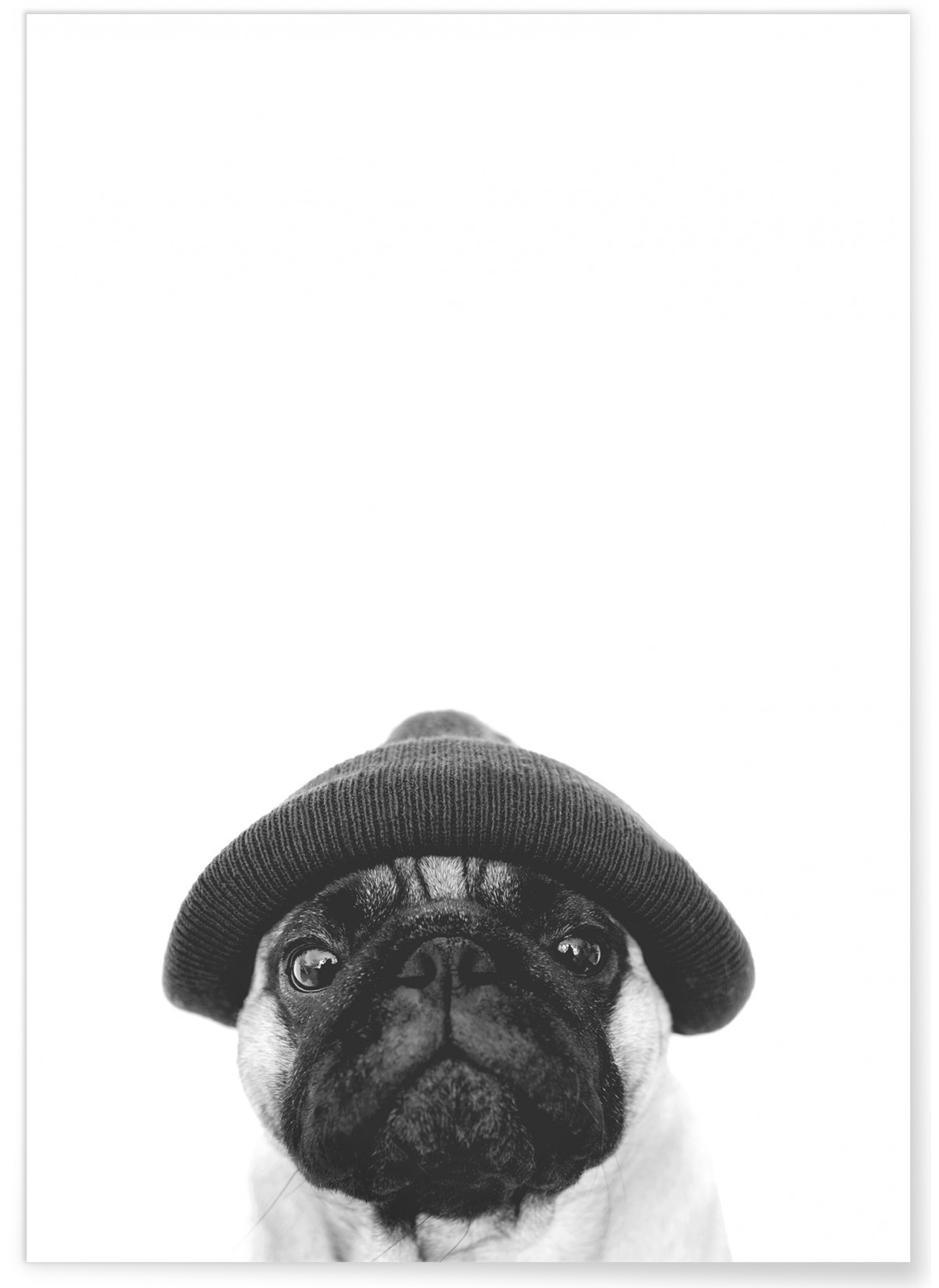 Affiche Carlin noir et blanc
