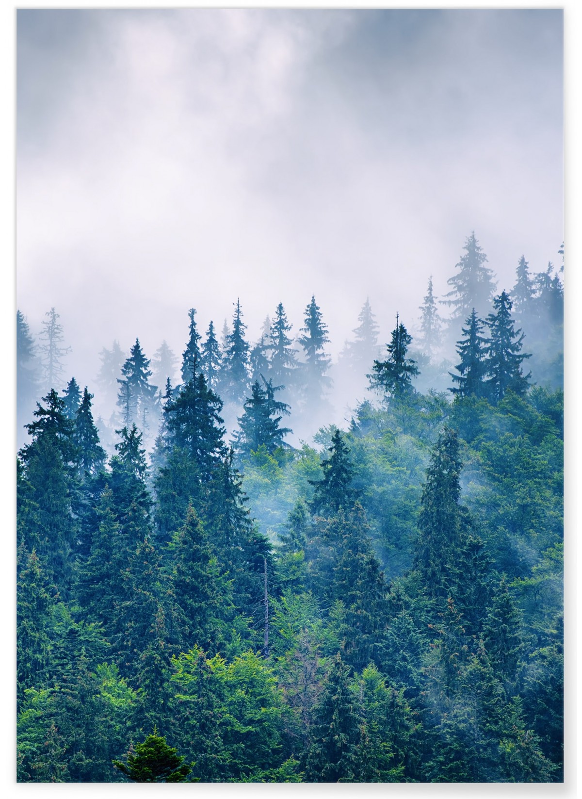 Affiche Nature Paysage Montagne Brumeuse